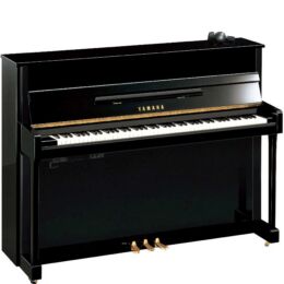YAMAHA b2 SC3