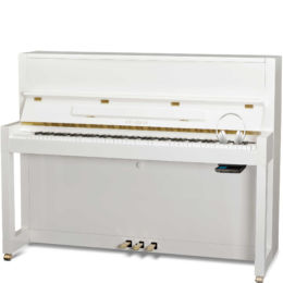 FEURICH 115 Silencer Used