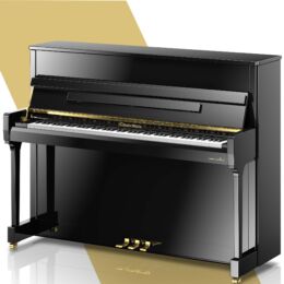 ZIMMERMANN Studio S2