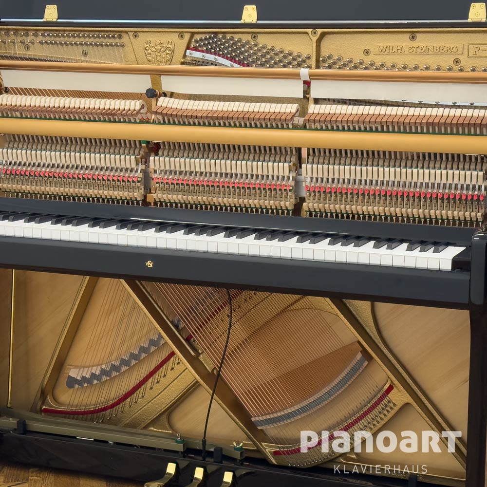 Akustische Anlage eines Steinberg P 118 Klaviers