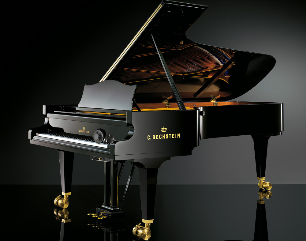 C-Bechstein Vario silent sash