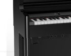 Roland HP-704 PE Digitalpiano Anschluesse