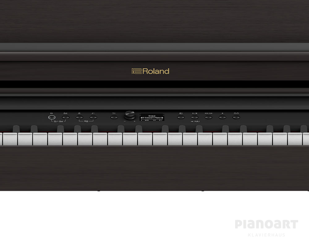 Roland RP-701 DR Digitalpiano Bedienermodul