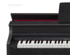 Casio Celviano AP-470 BK E-Piano Tasten