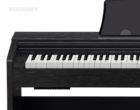 Casio Privia Px770 BK E-Piano Tasten