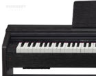 Casio Privia Px870 BK E-Piano Tasten