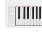 Casio Privia Px870 WE E-Piano Bedienermodul