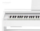 Casio Privia Px870 WE E-Piano Tasten