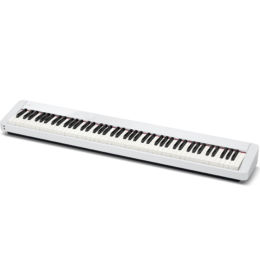 CASIO PX-S1100 WE