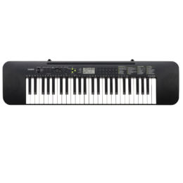 CASIO STANDARD CTK-240