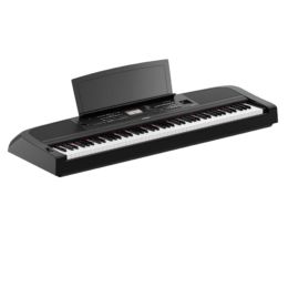 YAMAHA Portable Grand DGX-670