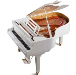 Graffiti Wings New - FEURICH Dynamics I