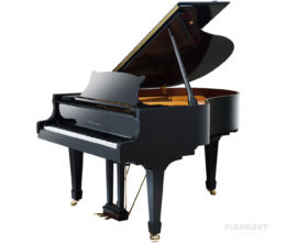 WILH. STEINBERG P 178