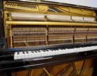 Yamaha U3 Gebraucht Klavier Mechanik
