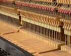 Yamaha U3 Gebraucht Klavier Mechanik Piloten