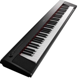 YAMAHA NP-35