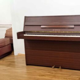 Eterna by Yamaha Gebraucht