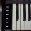 digitalpiano casio celviano ap-550 bn bedienfeld
