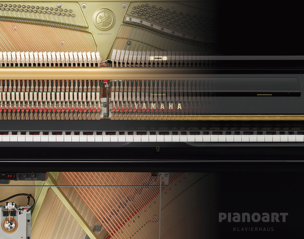 Yamaha U1 TA3 Gussplatte-Schwingspule