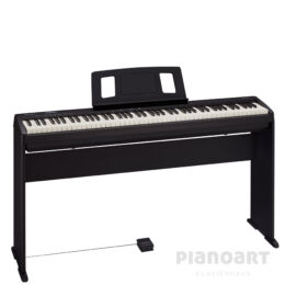 ROLAND FP-10 Home Set