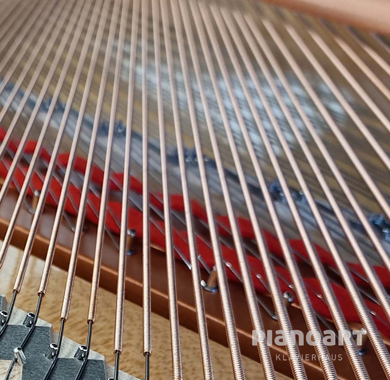 Basssaiten eines Yamaha C5X PE Flügel