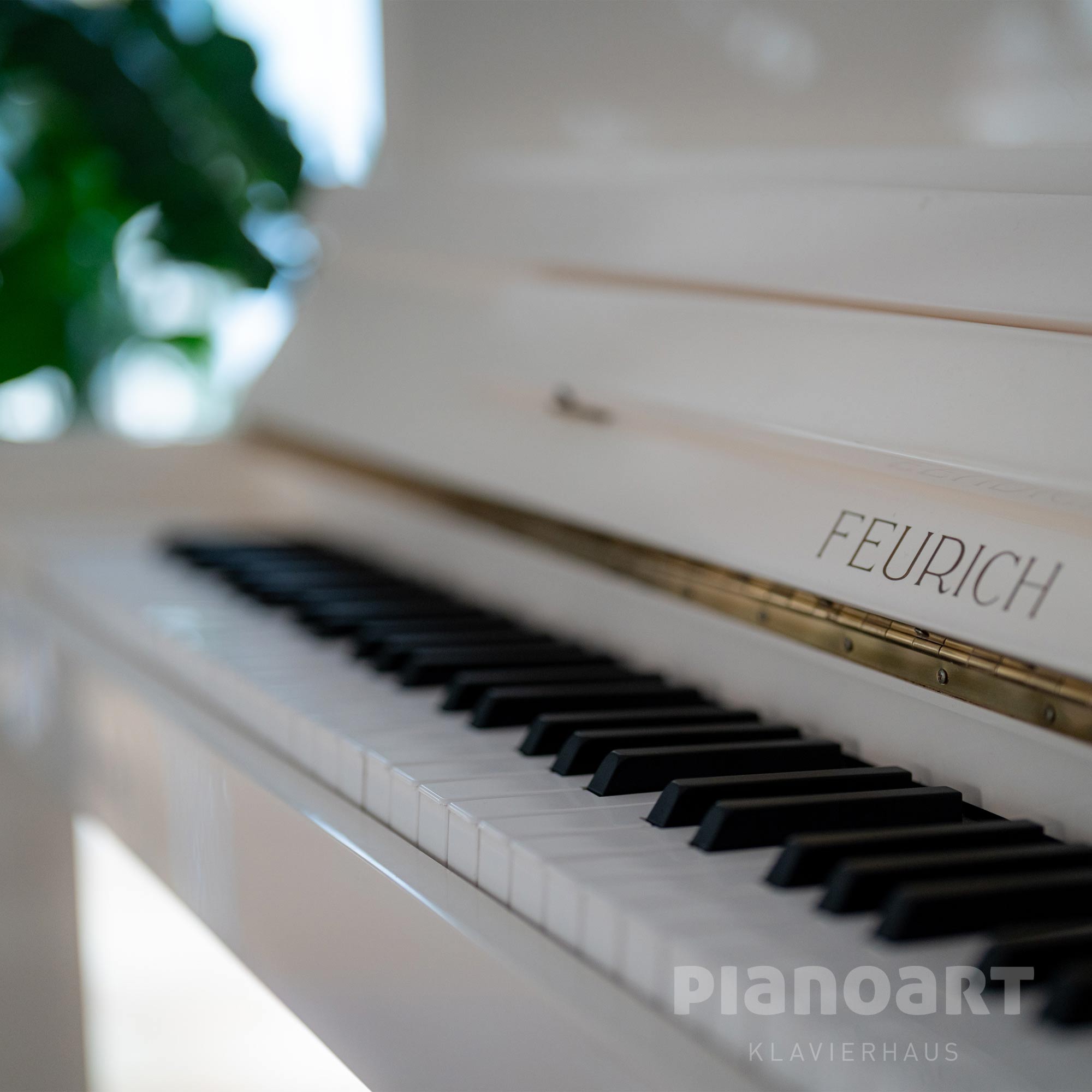 Klavier Gebraucht Feurich Premiere 115 Ansicht Klaviatur
