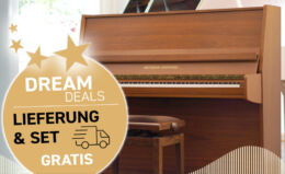 GROTRIAN STEINWEG Mod. 100 Gebraucht