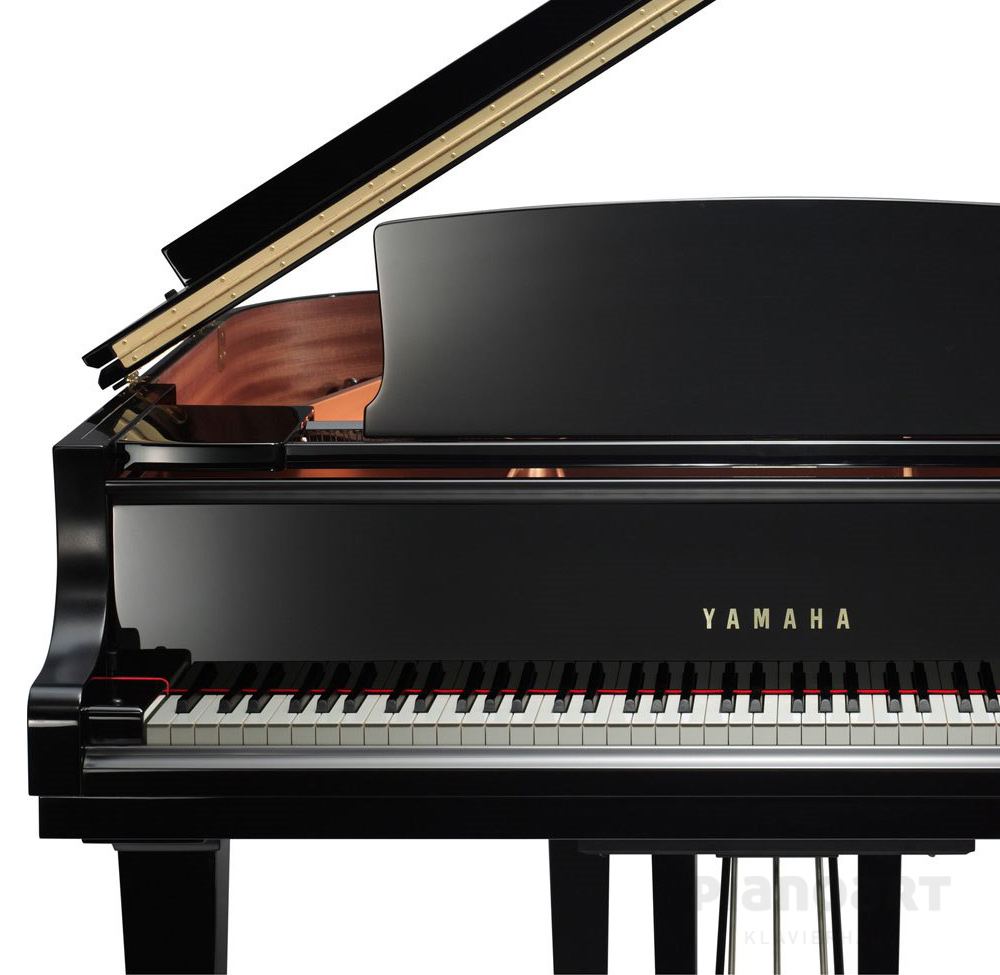 Yamaha CX Fluegel Front