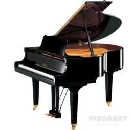 Yamaha GC1 PE Flügel in Schwarz