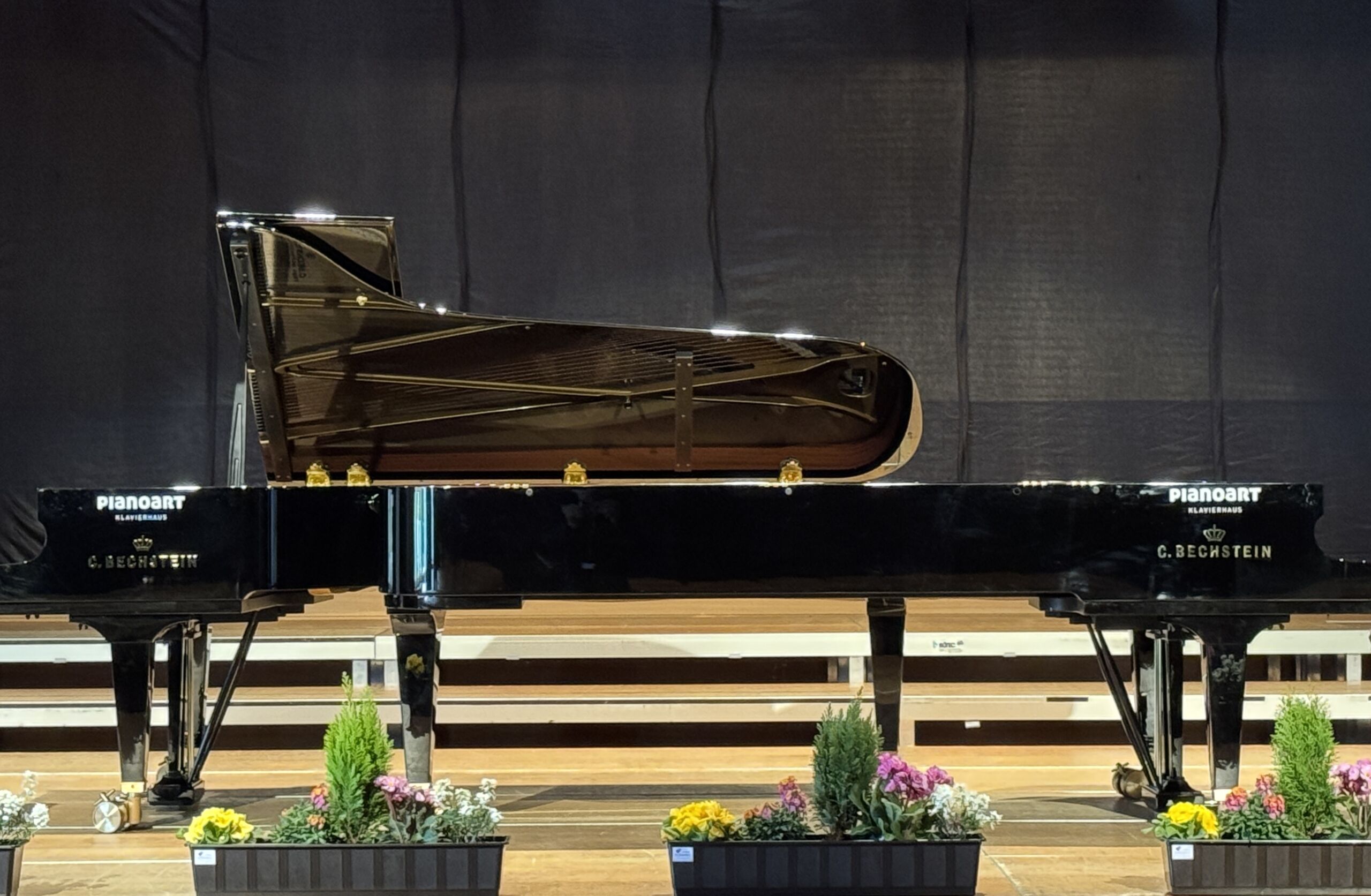 C. Bechstein Concert D 282 Flügel