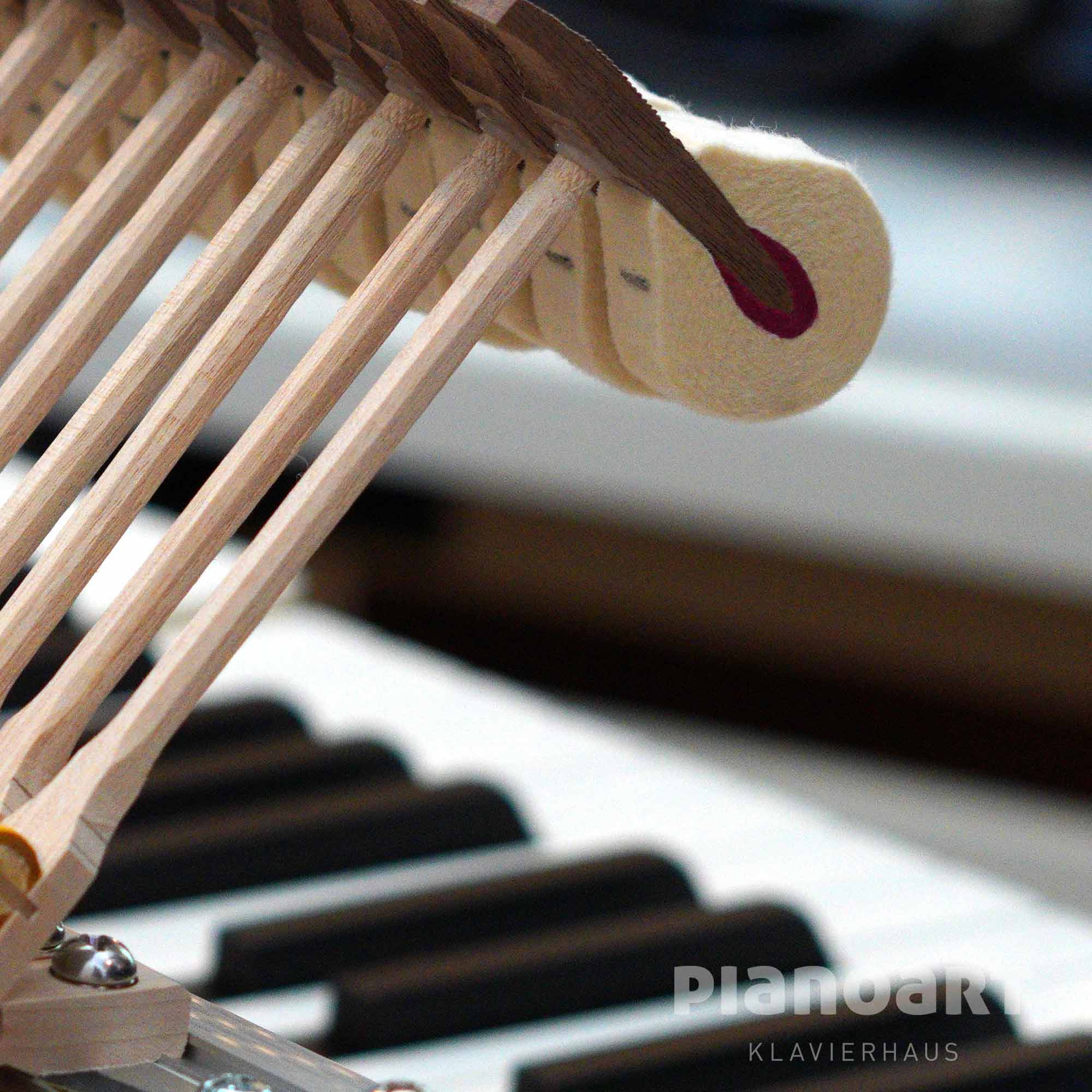 Hammerköpfe des Yamaha C5X Flügels