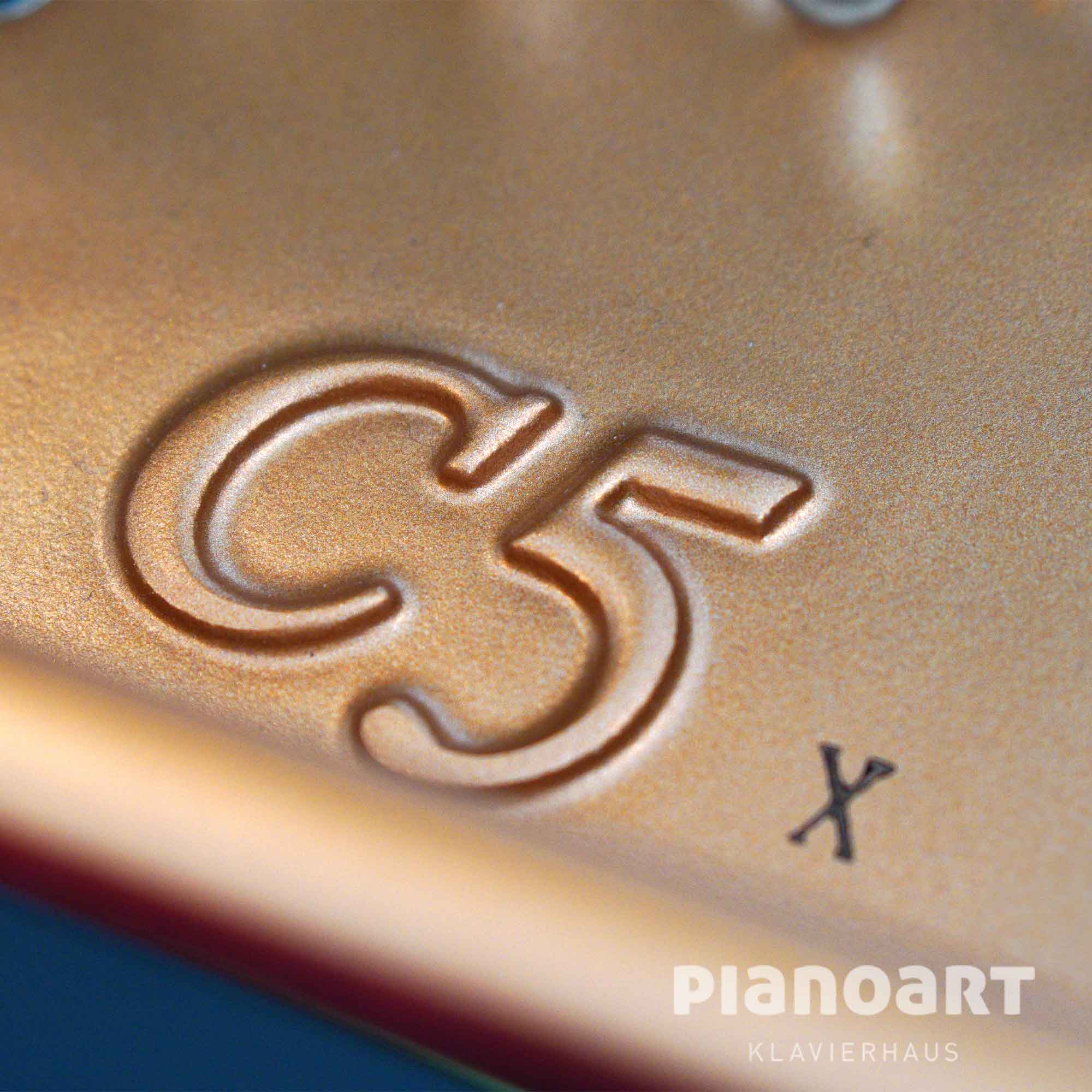 Fluegel Yamaha C5X Logo