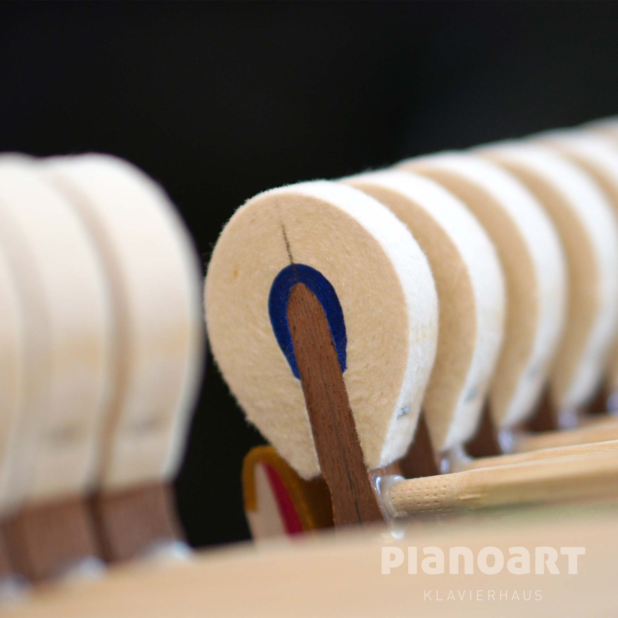 Hammerköpfe F 179 Flügel