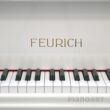 Fluegel Feurich F179 Logo-Frontal