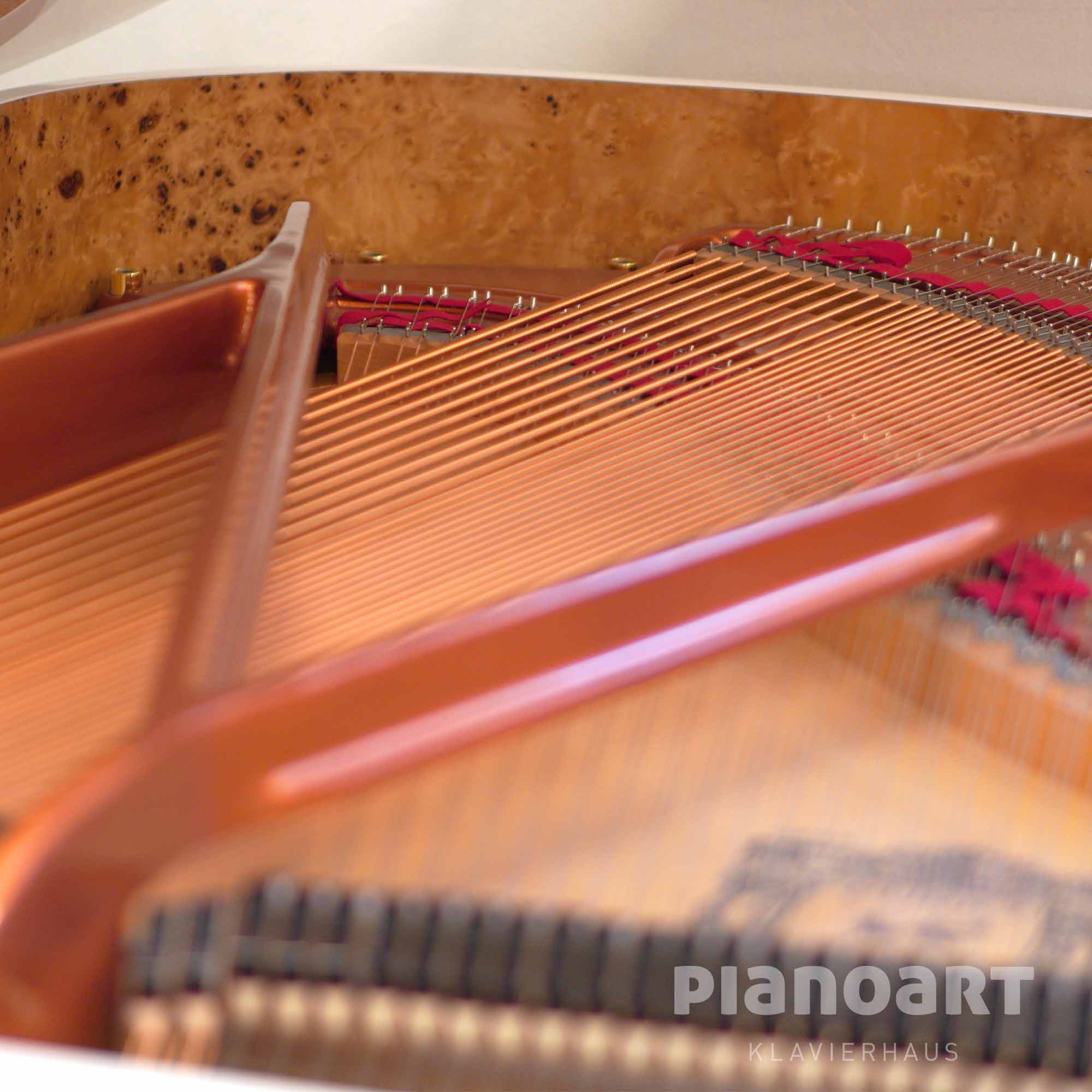 Feurich Flügel offene Ansicht