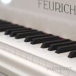 Feurich Flügel F 179 Tasten in weiß