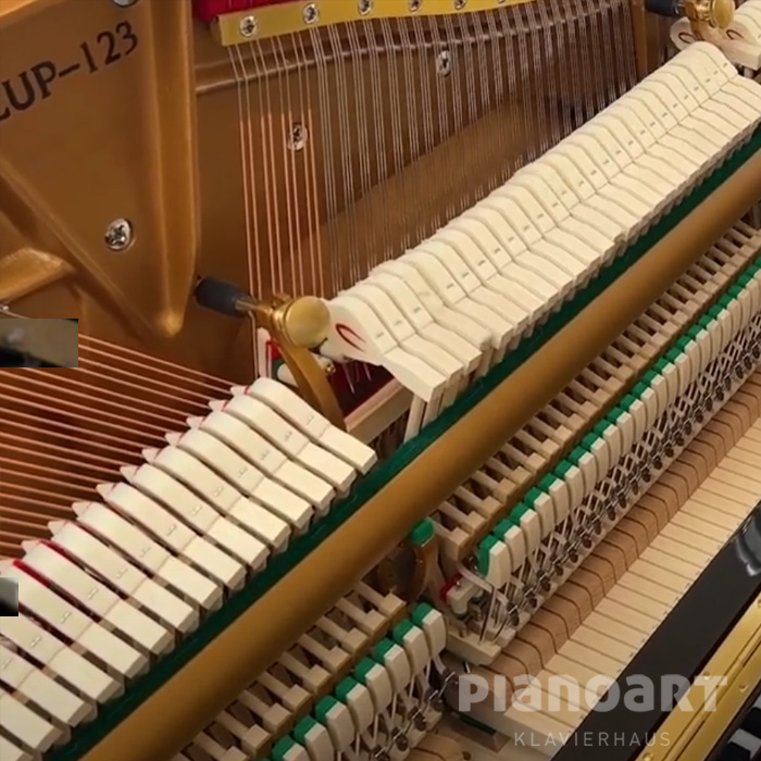 Saiten von Essex EUP-123E by Steinway & Sons Klavier