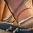 Pedale C. Bechstein Modell 12 Gebraucht