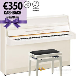 YAMAHA b1 Starter-Set