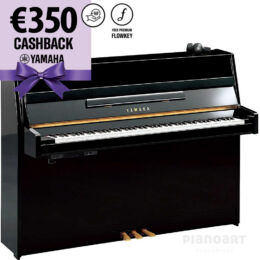 YAMAHA b1 SC3 Silent