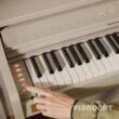 Bedienungsfeld Casio Celviano AP-750 GB