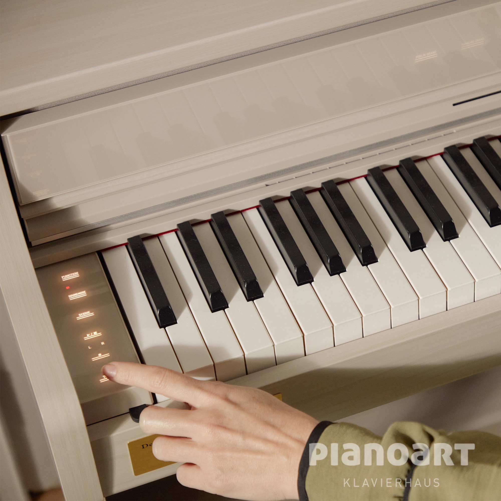 Bedienungsfeld Casio Celviano AP-750 GB