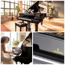 C. BECHSTEIN Concert 192