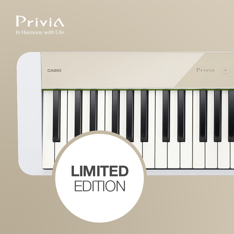 Casio Privia PX-S1100 MB