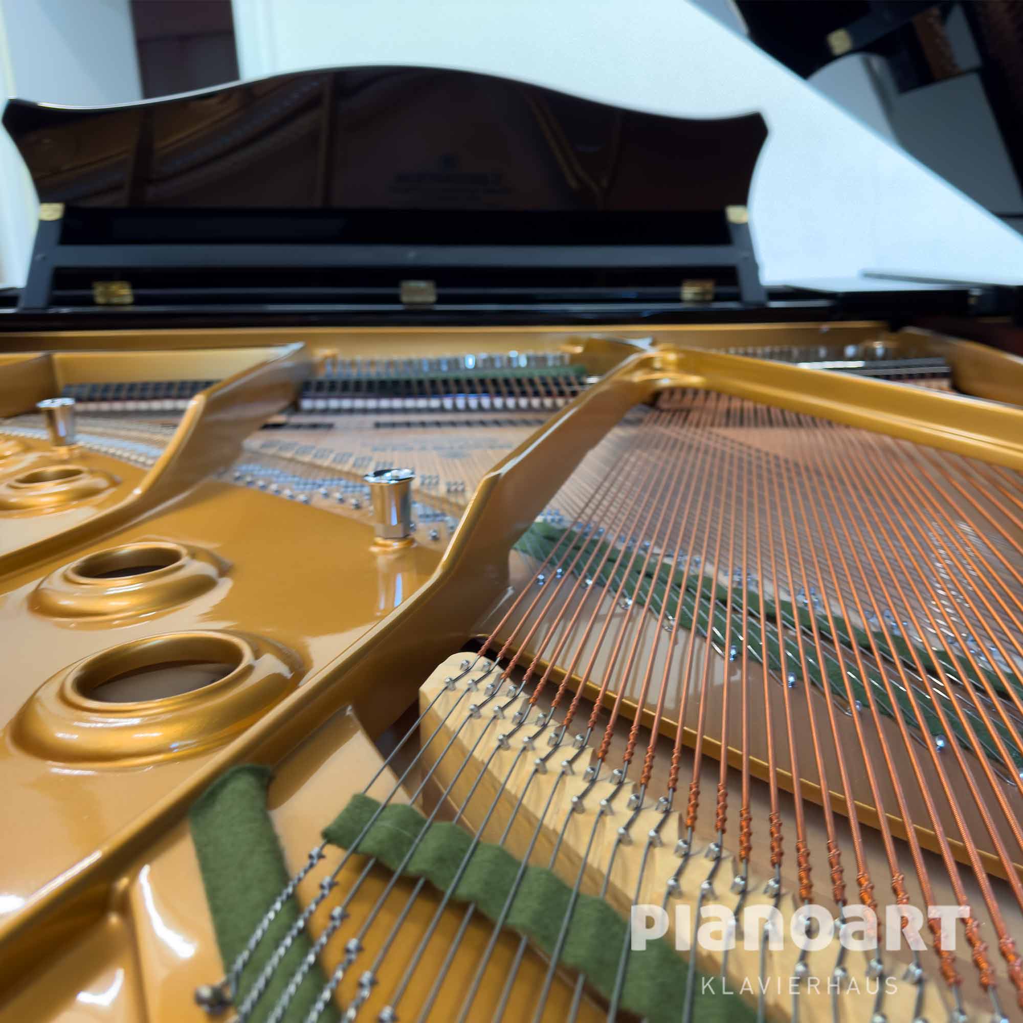 Gussplatte Ansicht C. Bechstein MP 192