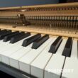 Tasten Ansicht C. Bechstein 192 Concert