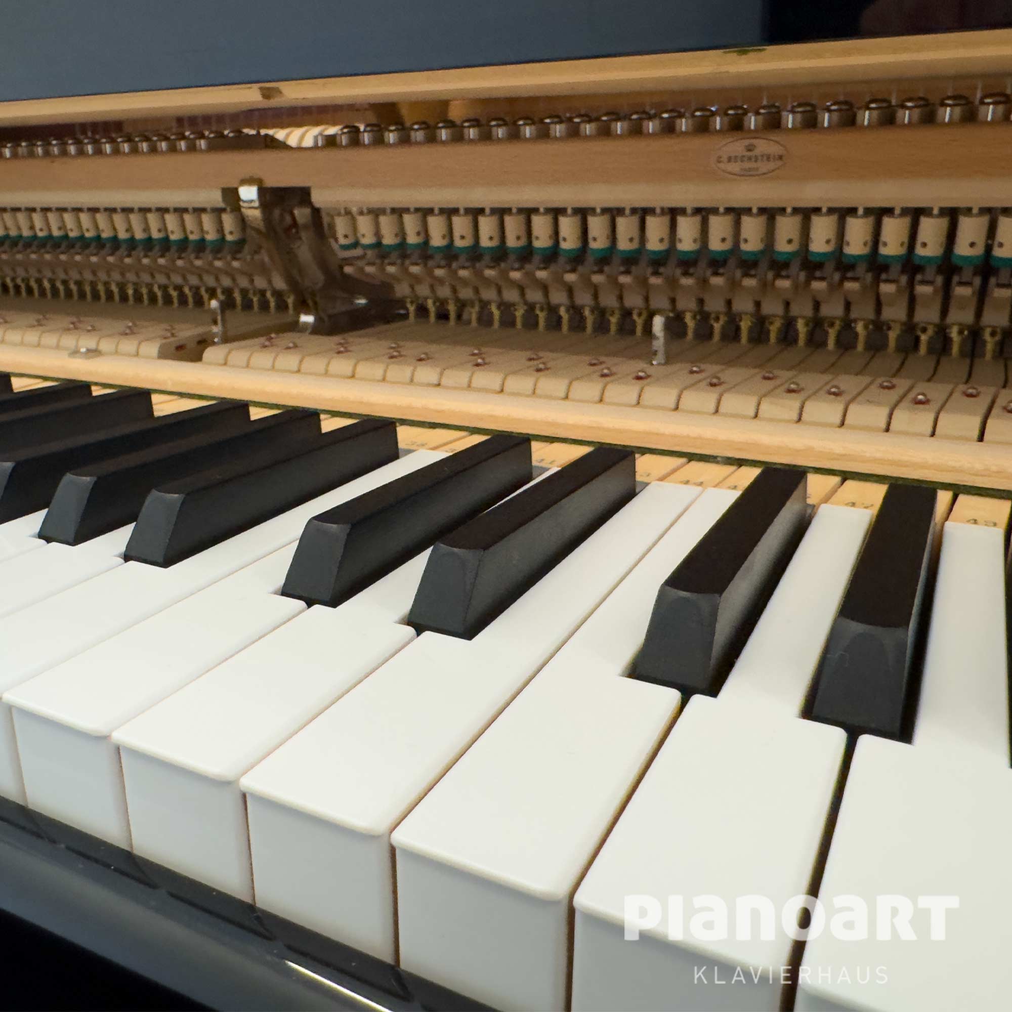 Tasten Ansicht C. Bechstein 192 Concert