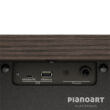 Digitalpiano Roland Kiyola KF-25 Anschluesse