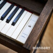 Roland Kiyola KF-20 Digital Piano