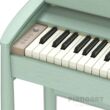 Tasten Roland Kiyola KF-20 Green